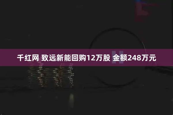 千红网 致远新能回购12万股 金额248万元